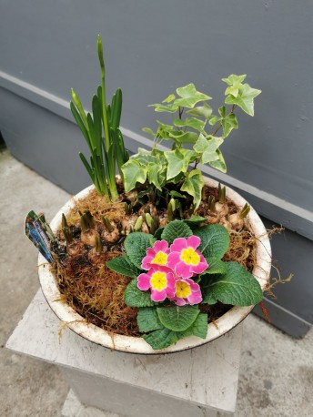 Small Spring Wok