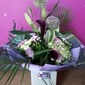 Purple Passion