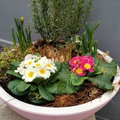 Spring Garden